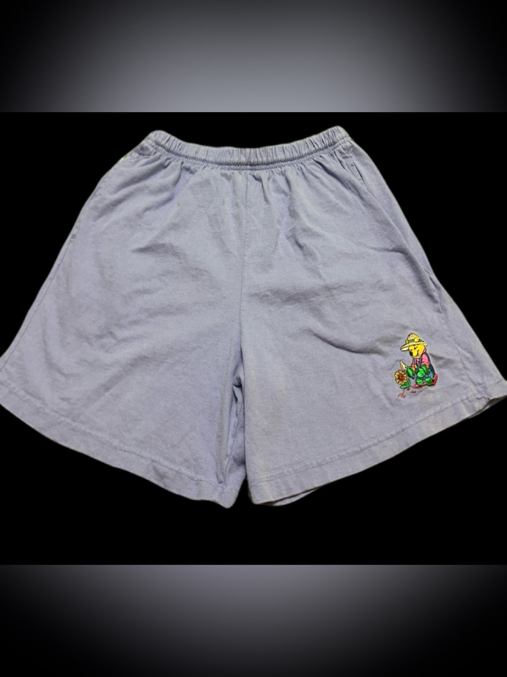 MICKEY INC  Winnie The Pooh Y2K Cotton Bermuda Shorts with Embroidered L